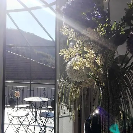 Helvezia * 레반토